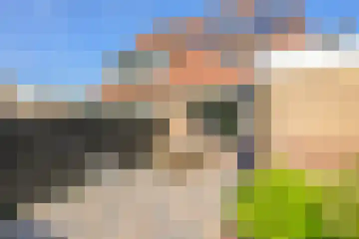 Hornven 4 Nieuwe Niedorp thumbnail 15