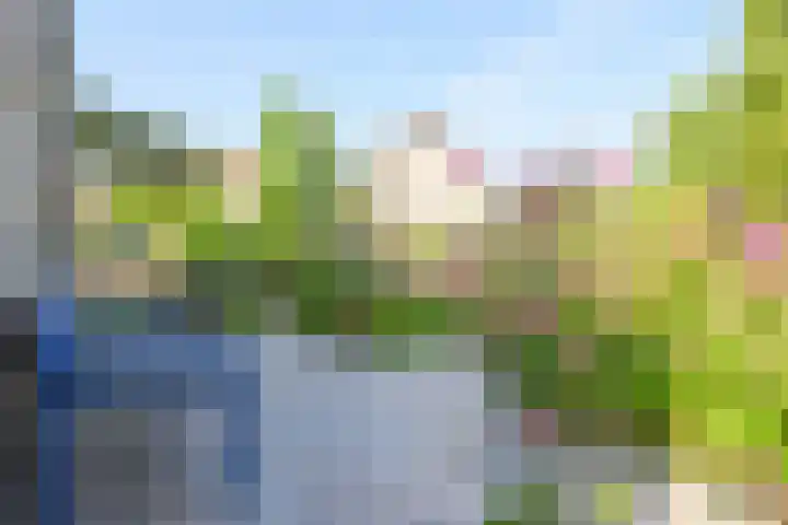 Hornven 4 Nieuwe Niedorp thumbnail 32
