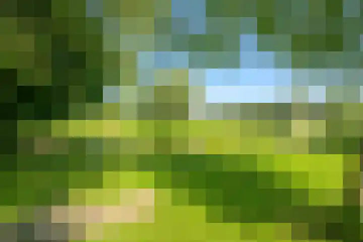 Hornven 4 Nieuwe Niedorp thumbnail 34