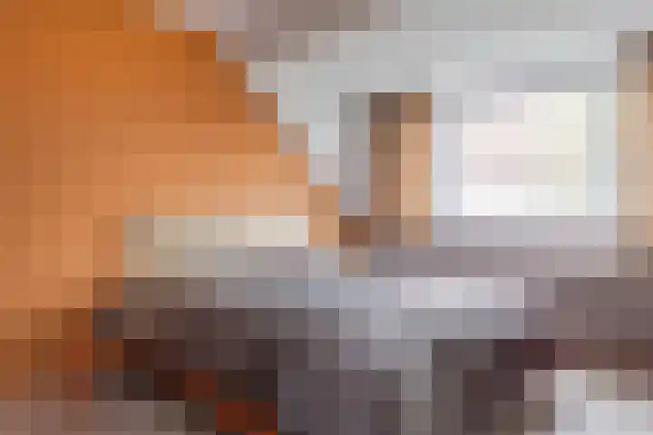 Hornven 7 Nieuwe Niedorp thumbnail 12