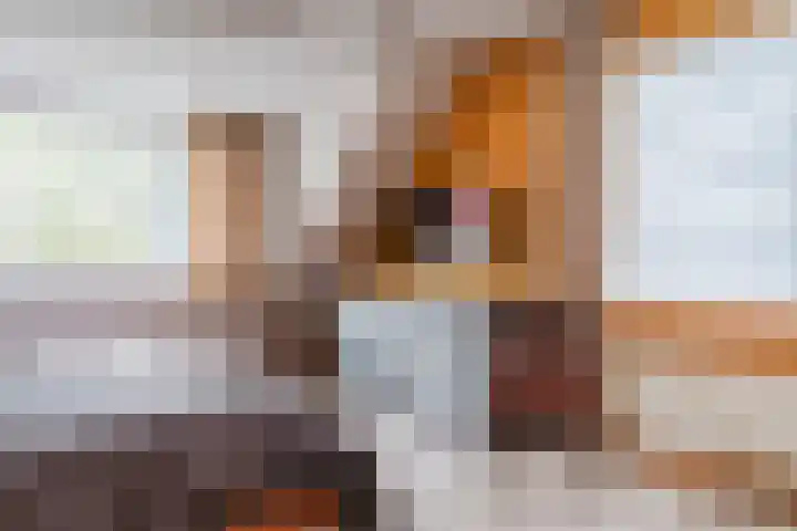 Hornven 7 Nieuwe Niedorp thumbnail 13