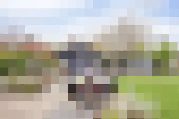Hornven 7 Nieuwe Niedorp thumbnail 19