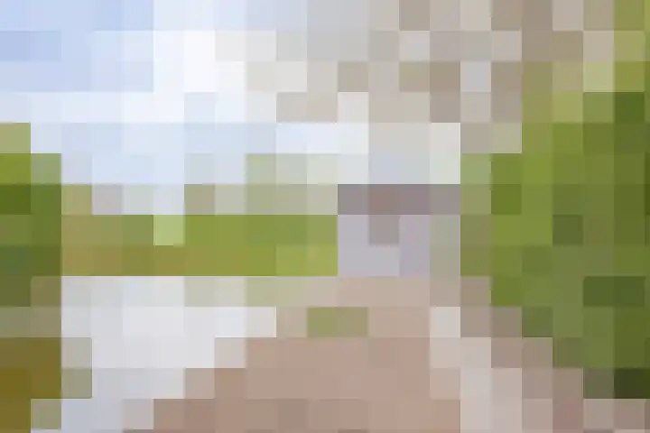 Hornven 7 Nieuwe Niedorp thumbnail 20