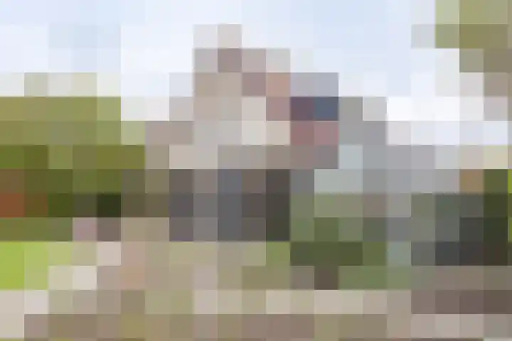 Hornven 7 Nieuwe Niedorp thumbnail 21