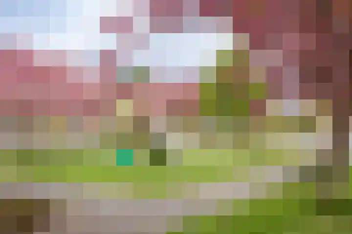 Hornven 7 Nieuwe Niedorp thumbnail 26