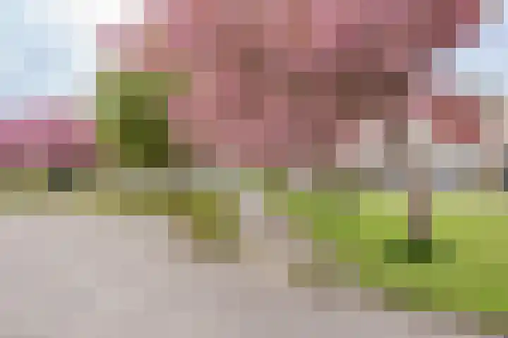 Hornven 7 Nieuwe Niedorp thumbnail 27