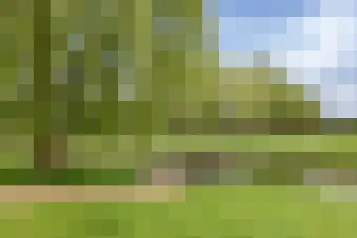 Hornven 7 Nieuwe Niedorp thumbnail 28