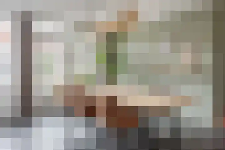 Hornven 8 Nieuwe Niedorp thumbnail 10