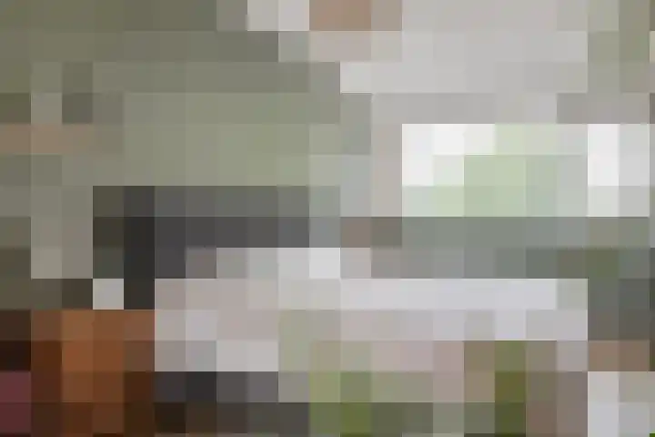 Hornven 8 Nieuwe Niedorp thumbnail 12