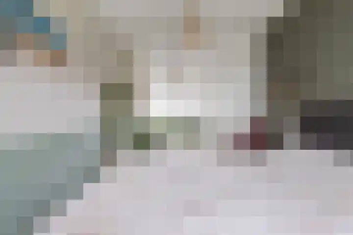 Hornven 8 Nieuwe Niedorp thumbnail 13