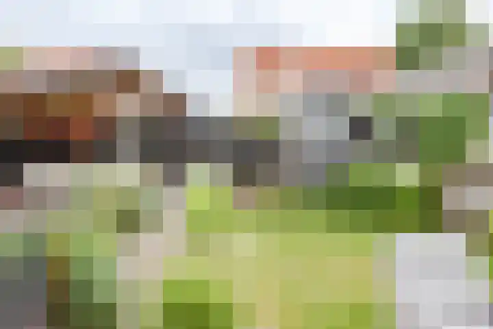 Hornven 8 Nieuwe Niedorp thumbnail 19