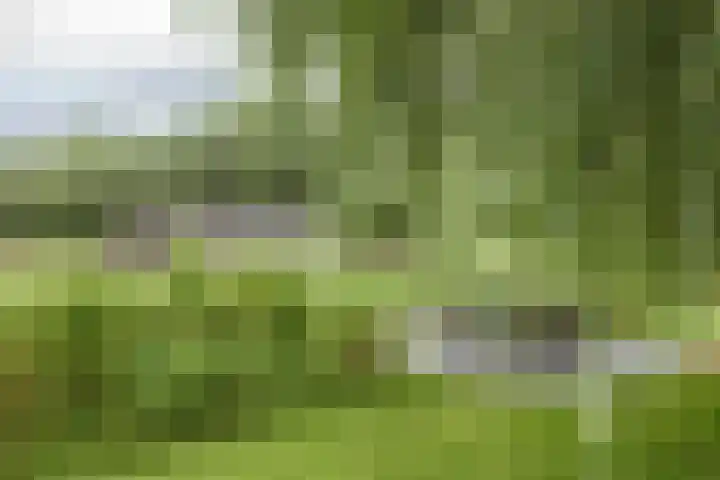 Hornven 8 Nieuwe Niedorp thumbnail 23
