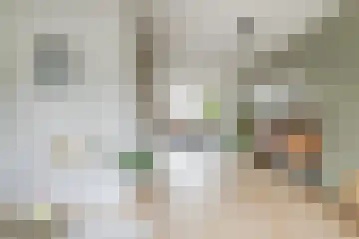 Hornven 8 Nieuwe Niedorp thumbnail 6