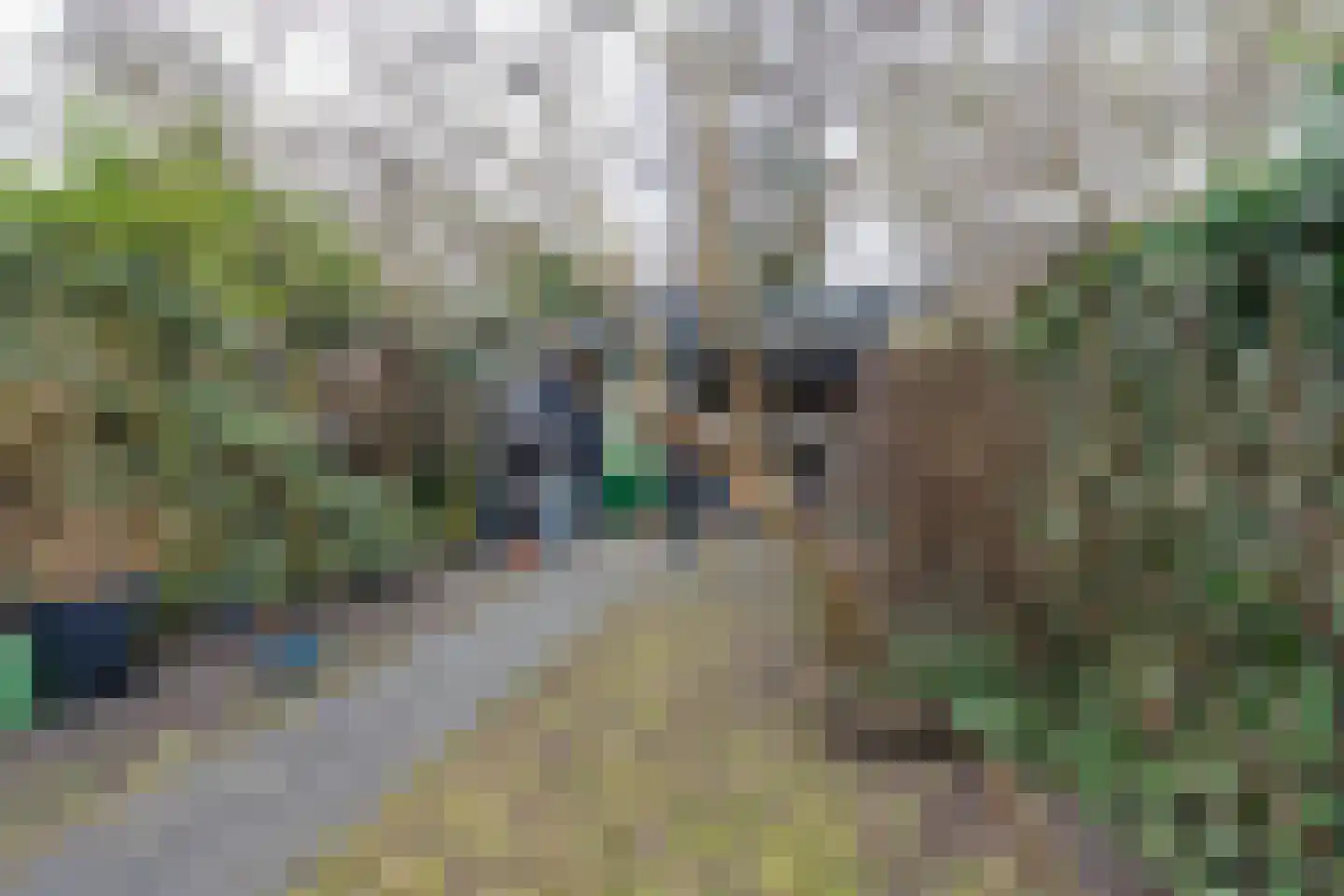 Hornwaard 158 Alkmaar thumbnail 17