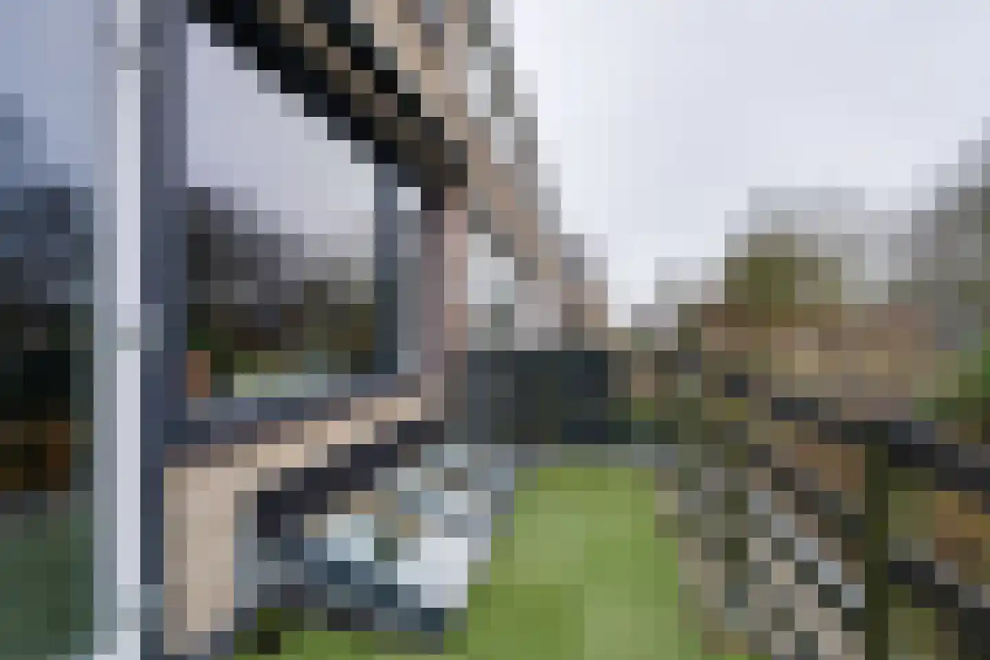 Hornwaard 158 Alkmaar thumbnail 25