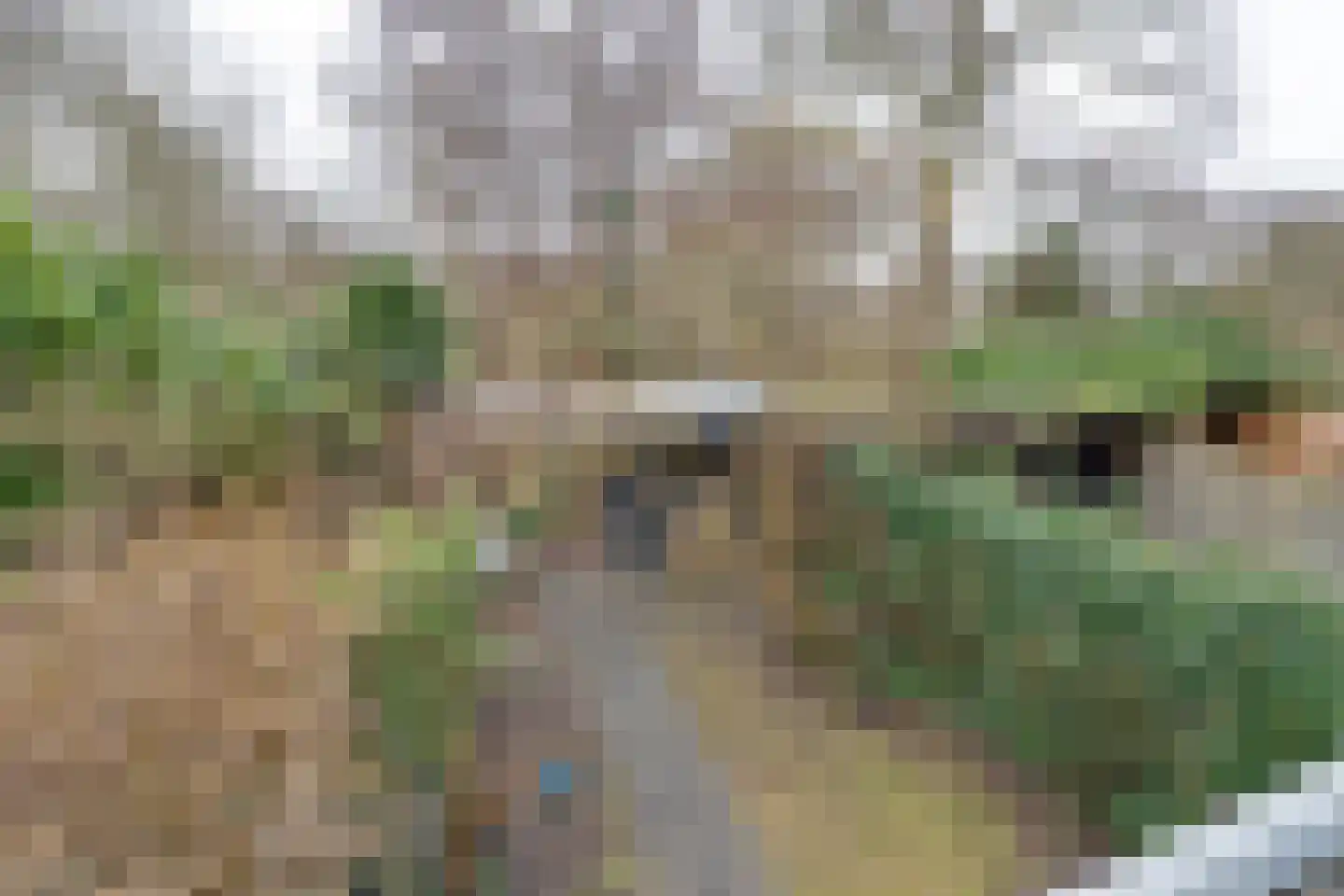 Hornwaard 158 Alkmaar thumbnail 27