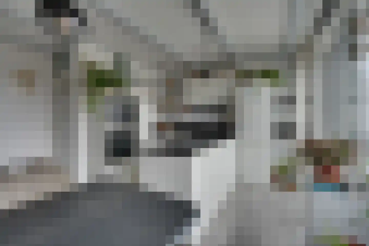 Hornwaard 158 Alkmaar thumbnail 32