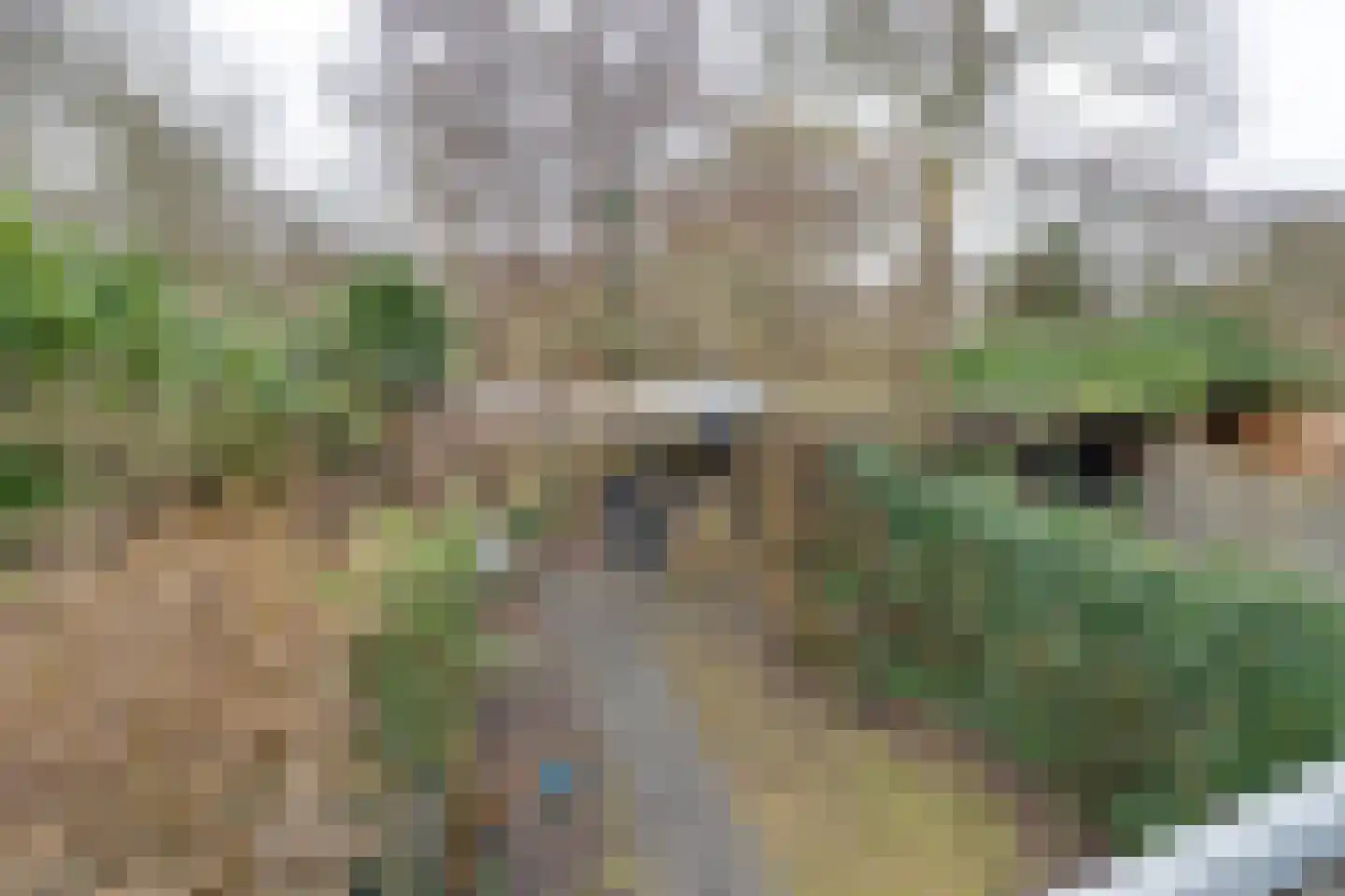 Hornwaard 158 Alkmaar thumbnail 35