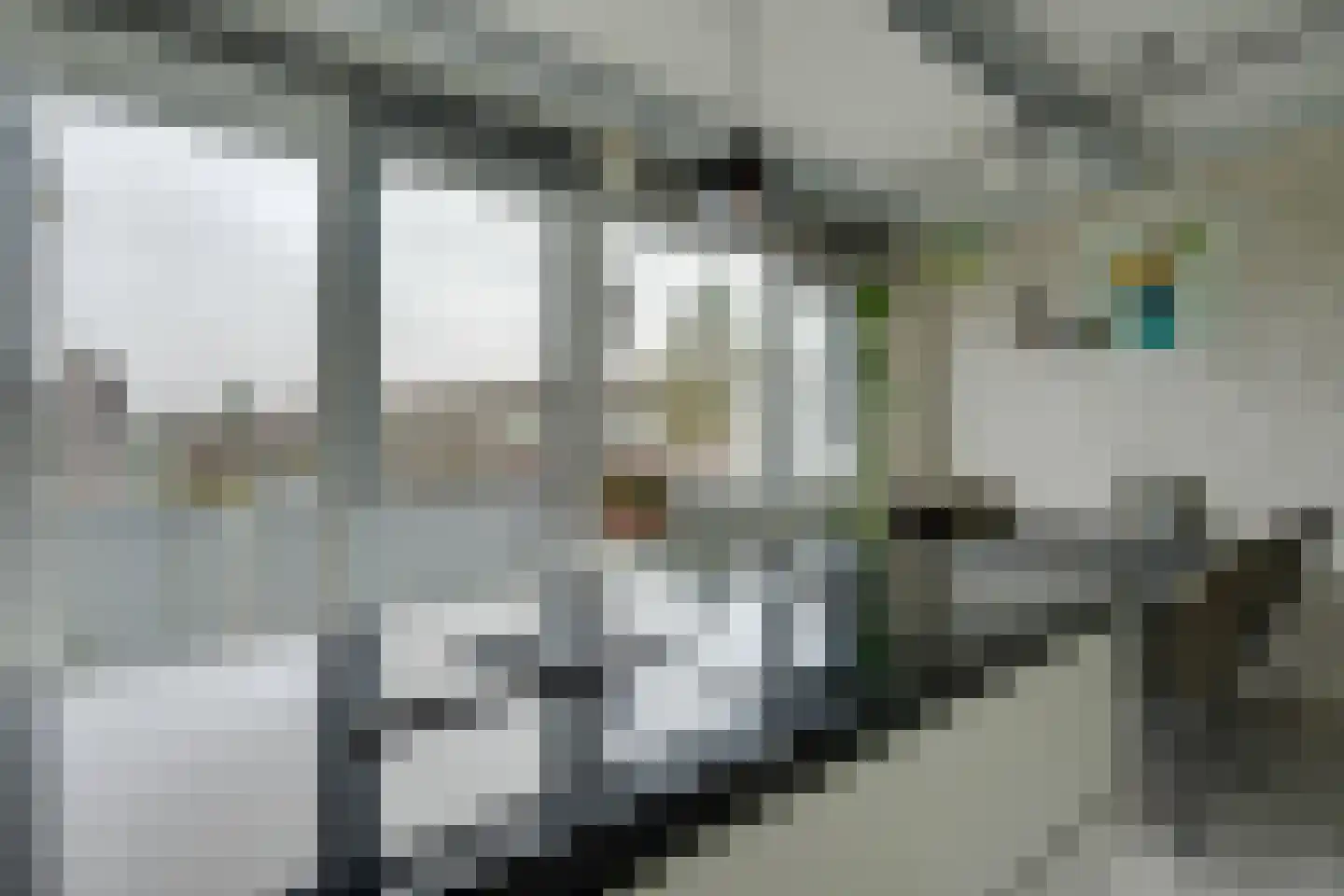 Hornwaard 158 Alkmaar thumbnail 36