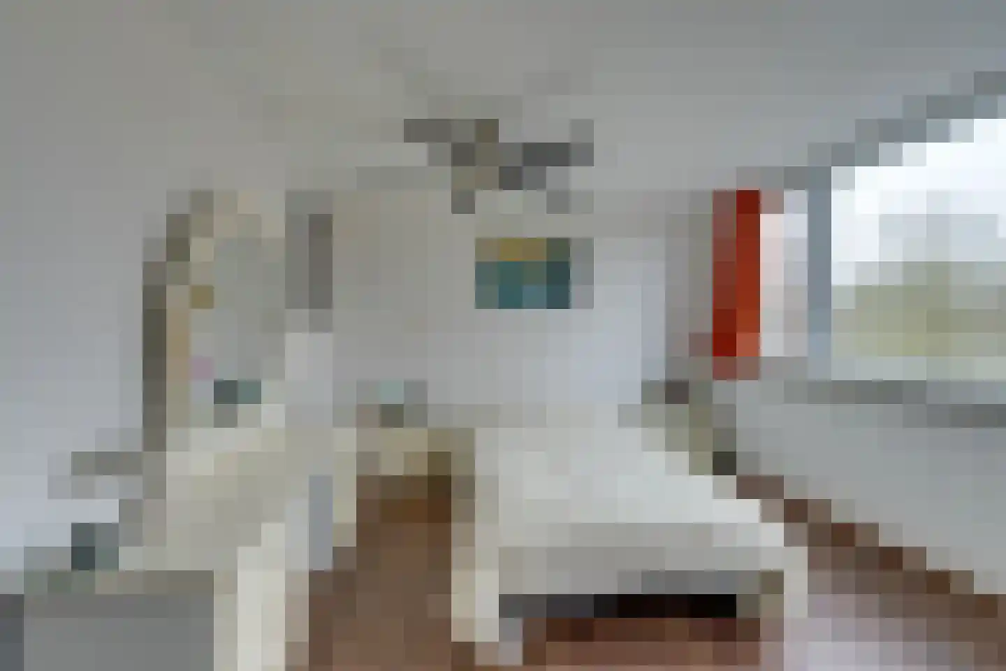 Hornwaard 158 Alkmaar thumbnail 39