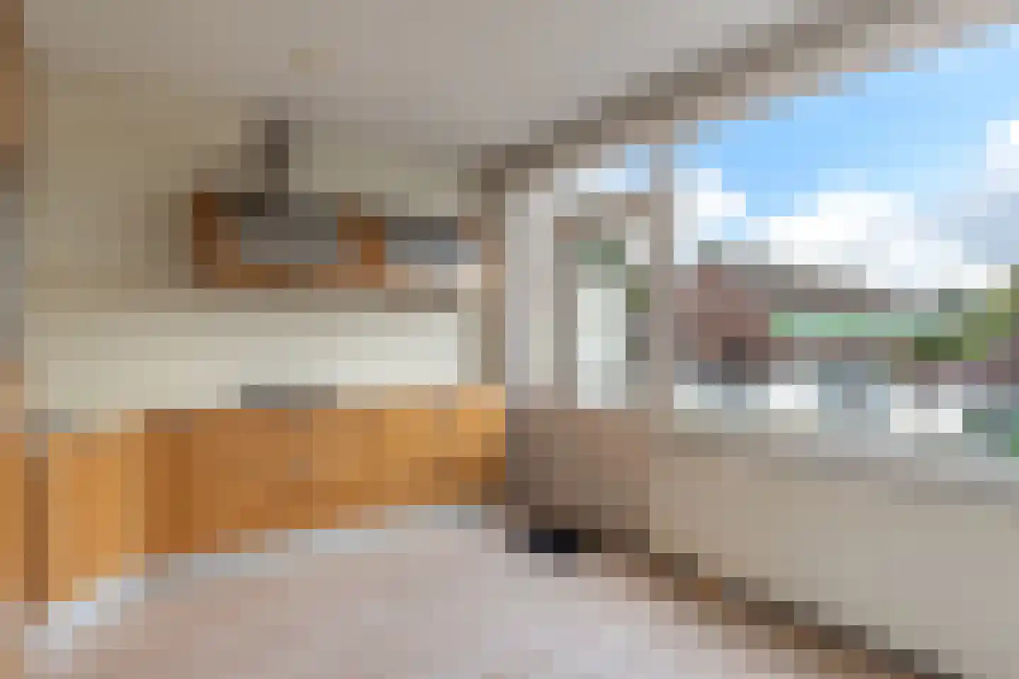 Hornwaard 176 Alkmaar thumbnail 24