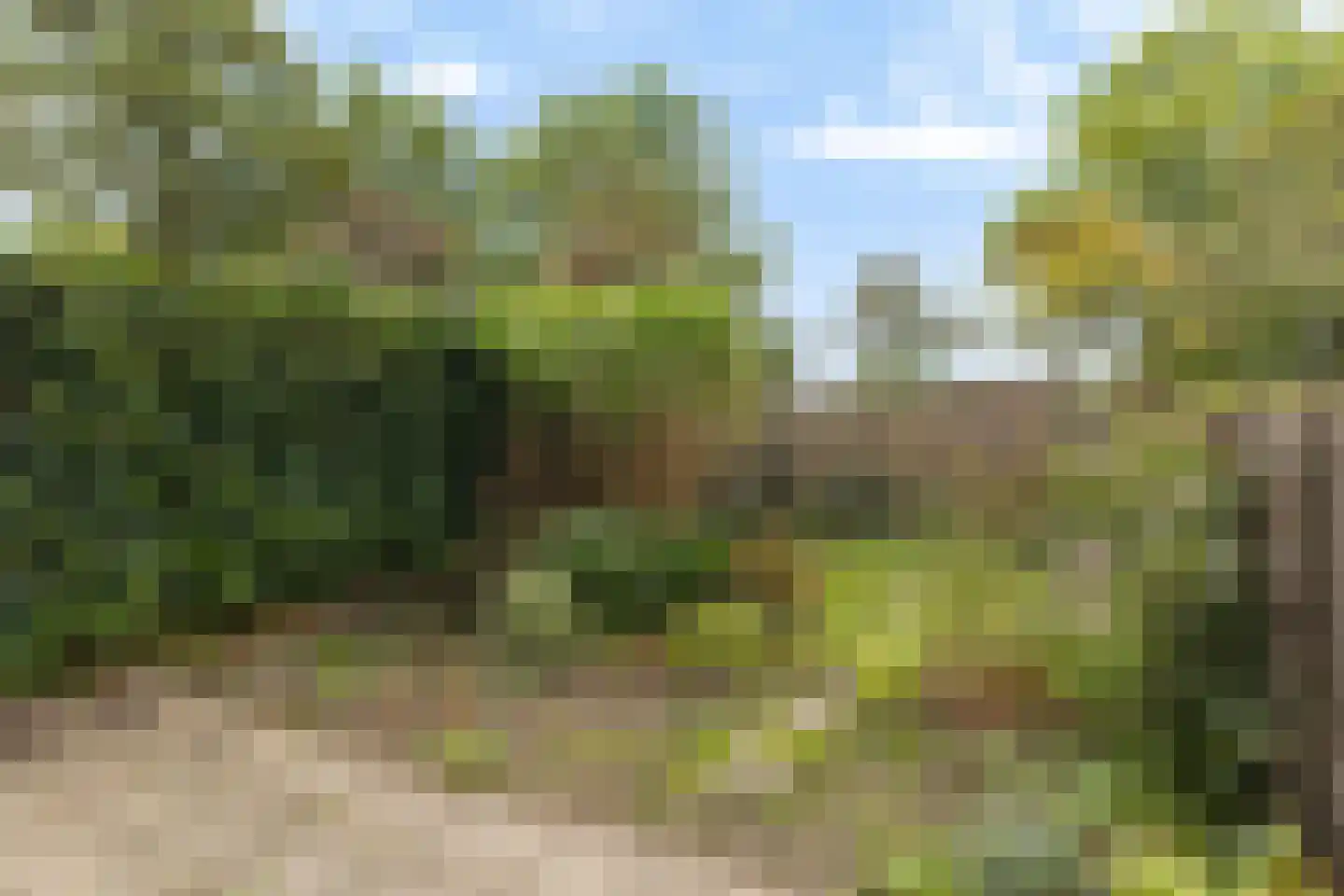 Hornwaard 176 Alkmaar thumbnail 4
