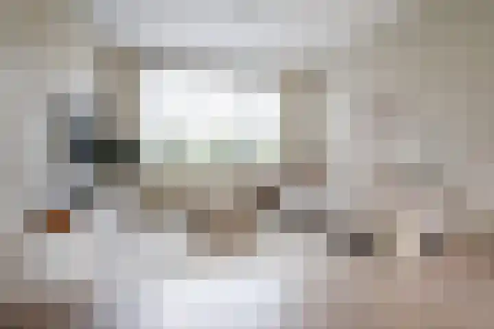 Hornwaard 69 Alkmaar thumbnail 12