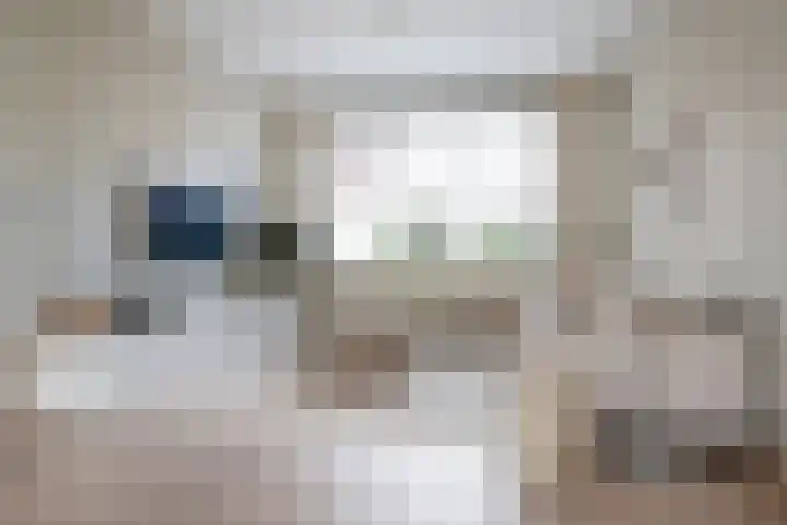 Hornwaard 69 Alkmaar thumbnail 13