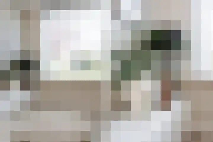 Hornwaard 69 Alkmaar thumbnail 14