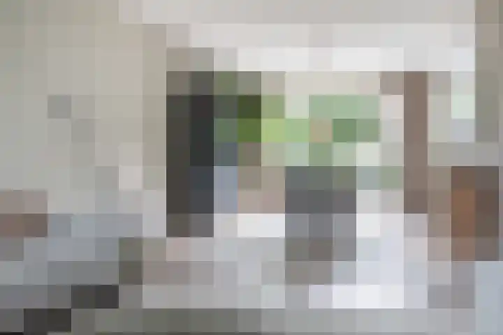 Hornwaard 69 Alkmaar thumbnail 15