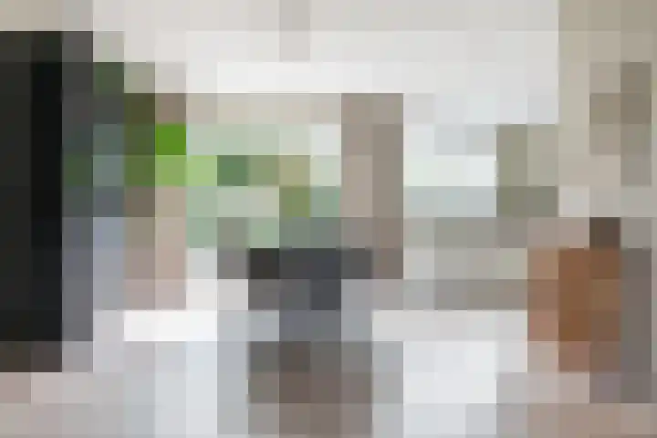 Hornwaard 69 Alkmaar thumbnail 16