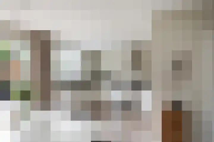 Hornwaard 69 Alkmaar thumbnail 17
