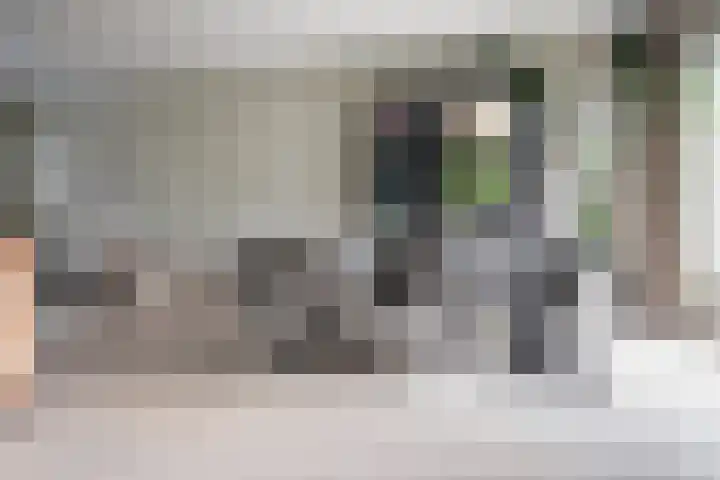 Hornwaard 69 Alkmaar thumbnail 21