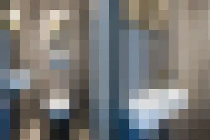 Hornwaard 69 Alkmaar thumbnail 23