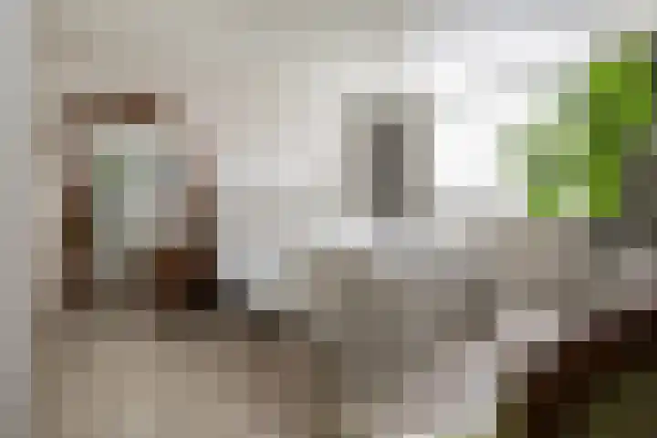 Hornwaard 69 Alkmaar thumbnail 25