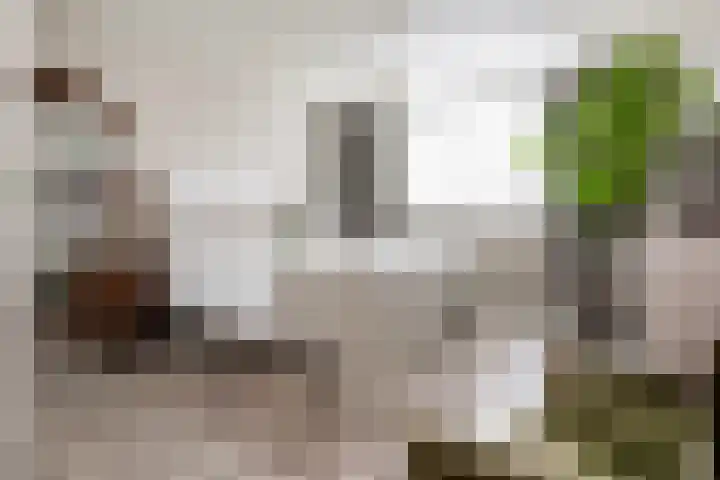 Hornwaard 69 Alkmaar thumbnail 26