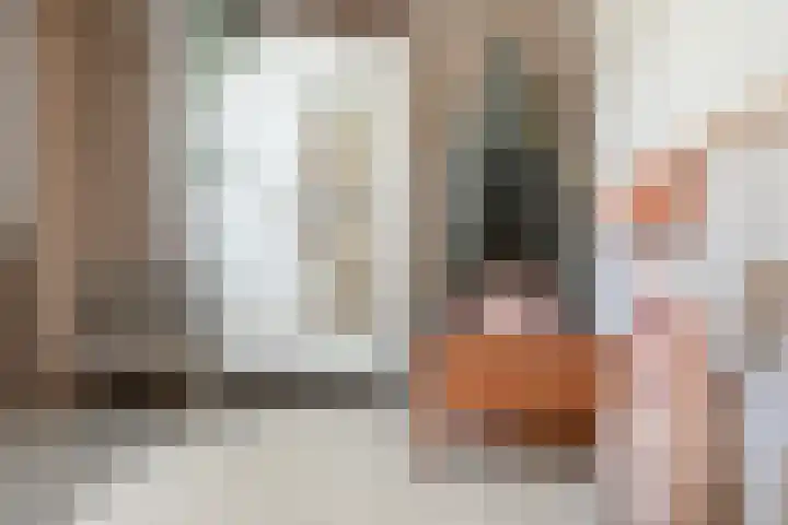 Hornwaard 69 Alkmaar thumbnail 34