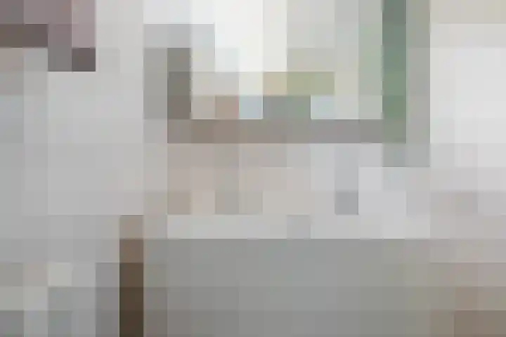 Hornwaard 69 Alkmaar thumbnail 38