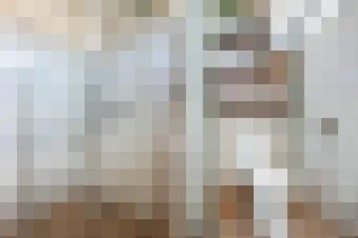 Hornwaard 69 Alkmaar thumbnail 39