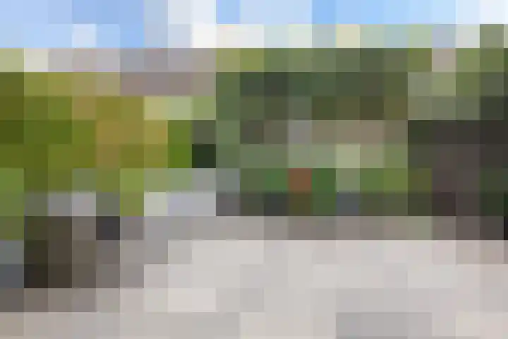 Hornwaard 69 Alkmaar thumbnail 4