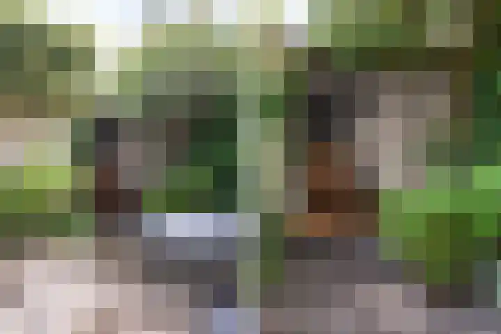 Hornwaard 69 Alkmaar thumbnail 48