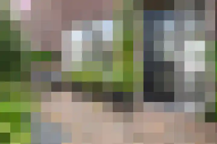 Hornwaard 69 Alkmaar thumbnail 7