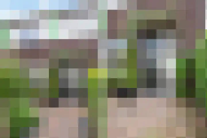 Hornwaard 69 Alkmaar thumbnail 8