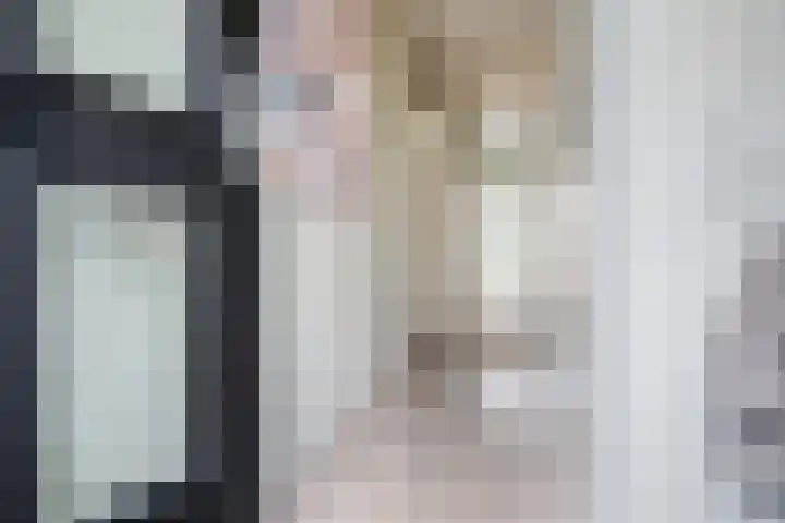 Hornwaard 69 Alkmaar thumbnail 9