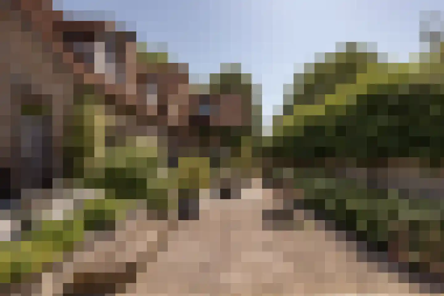 Hornweg 101 Aalsmeer thumbnail 24