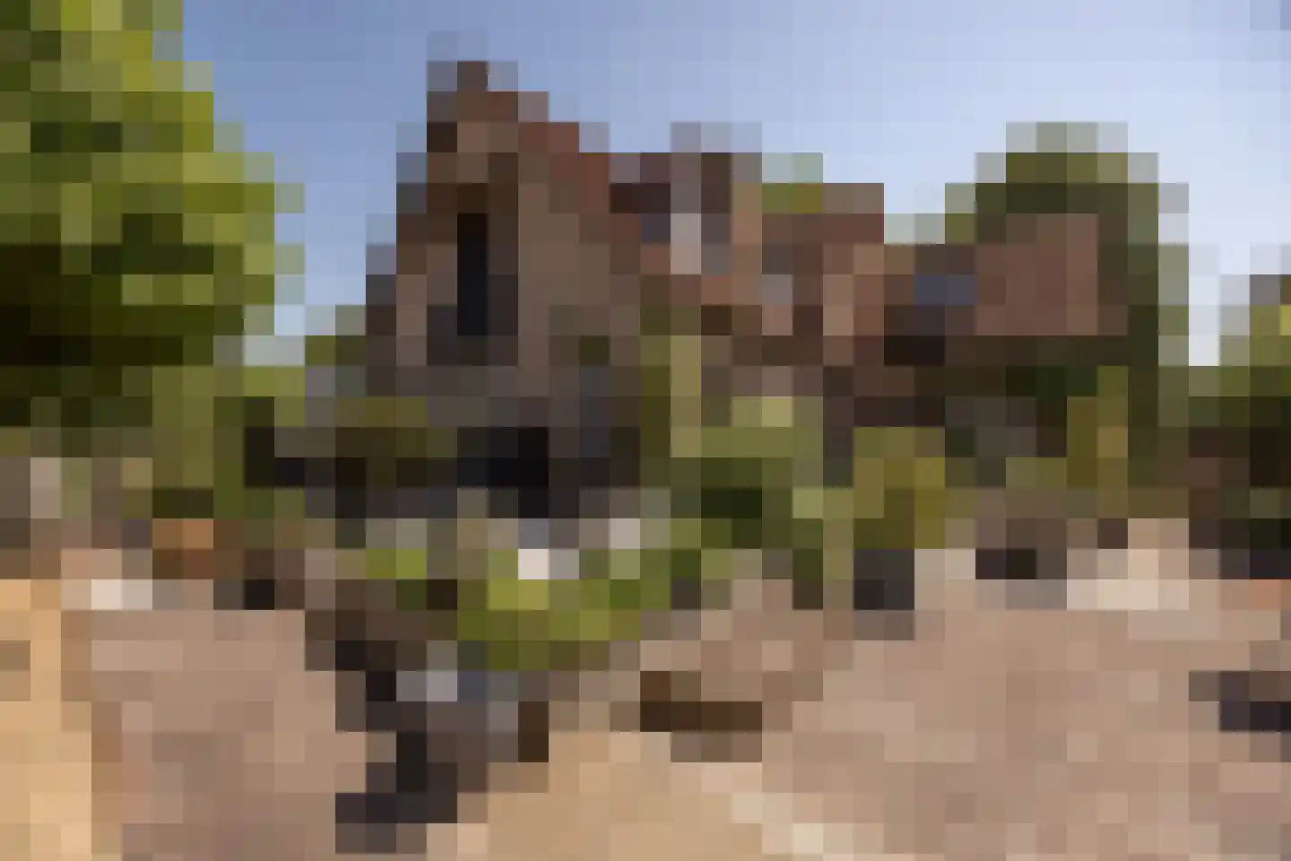 Hornweg 101 Aalsmeer thumbnail 25
