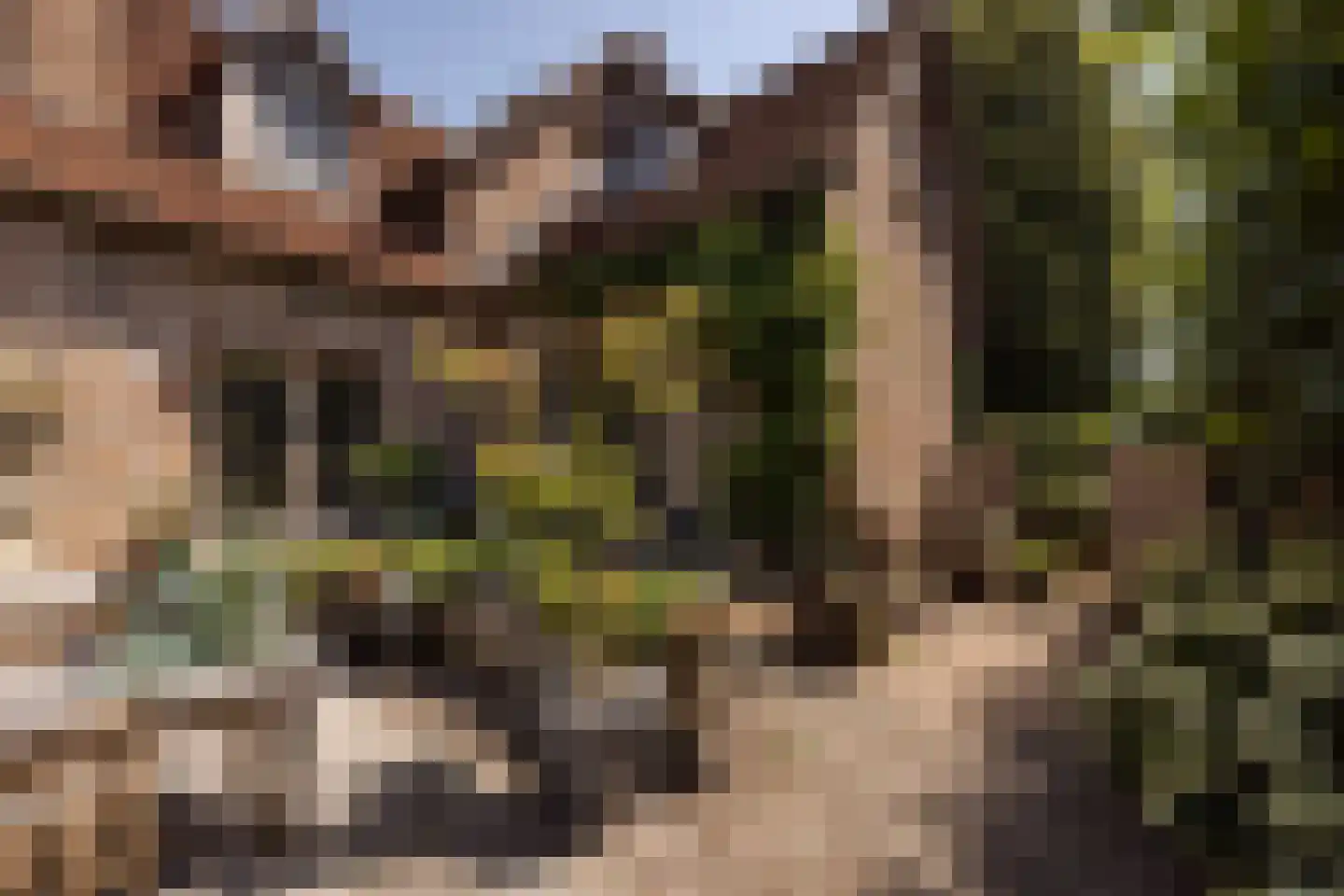 Hornweg 101 Aalsmeer thumbnail 26