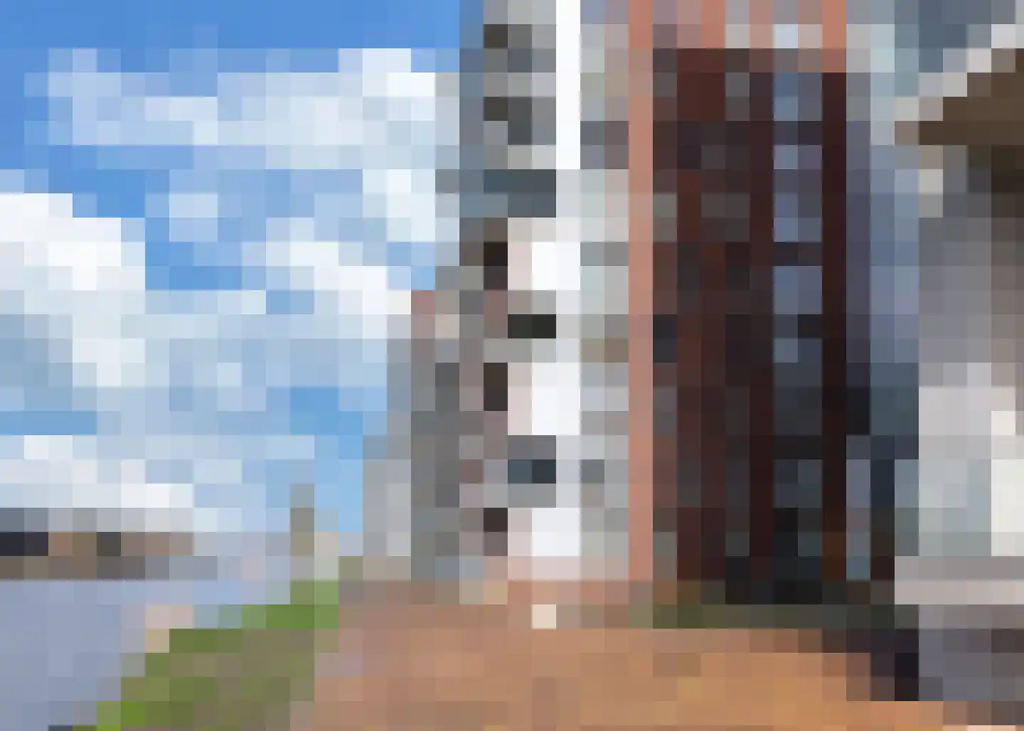 Hornweg 101 Aalsmeer thumbnail 32