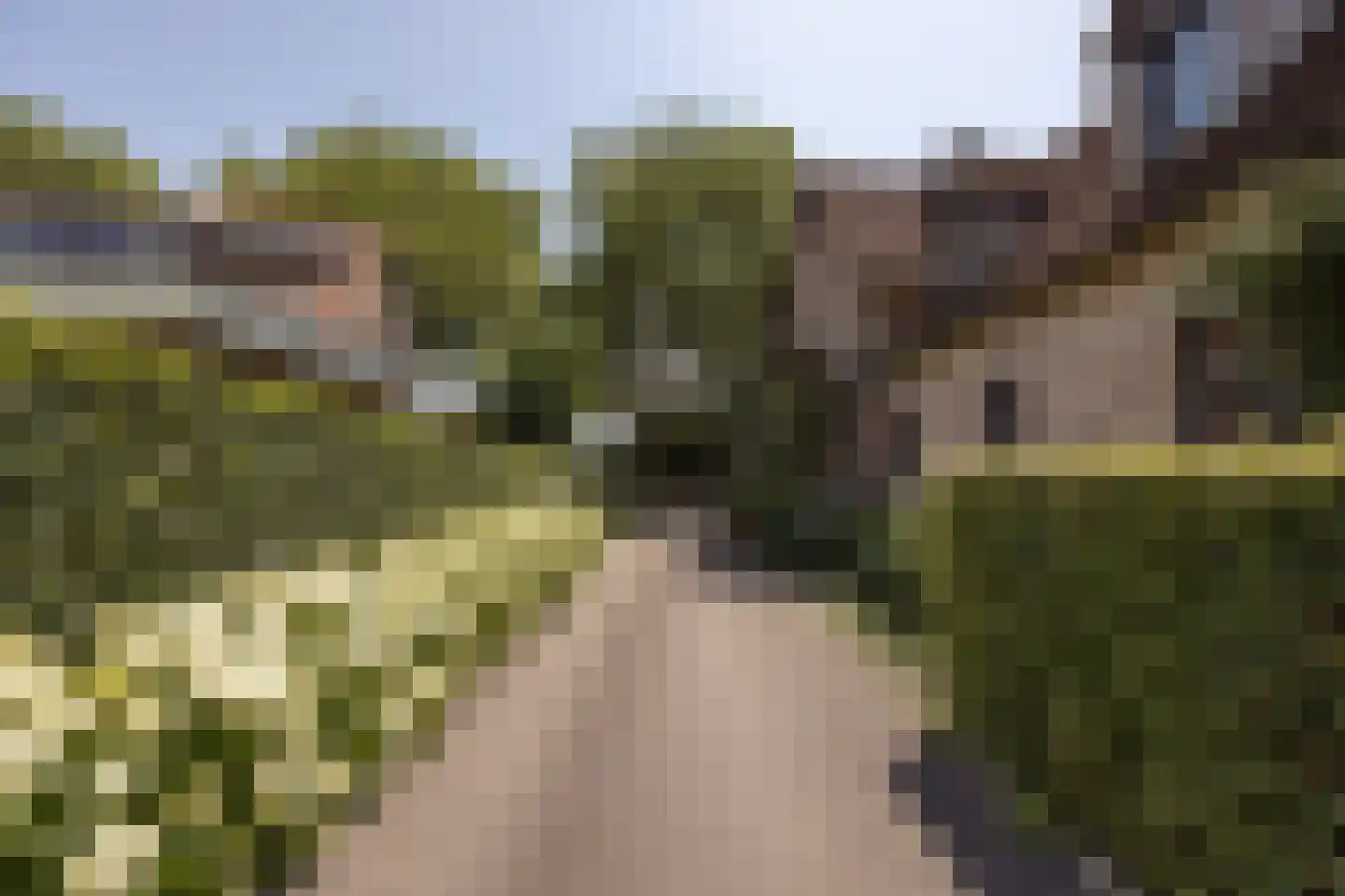 Hornweg 101 Aalsmeer thumbnail 36