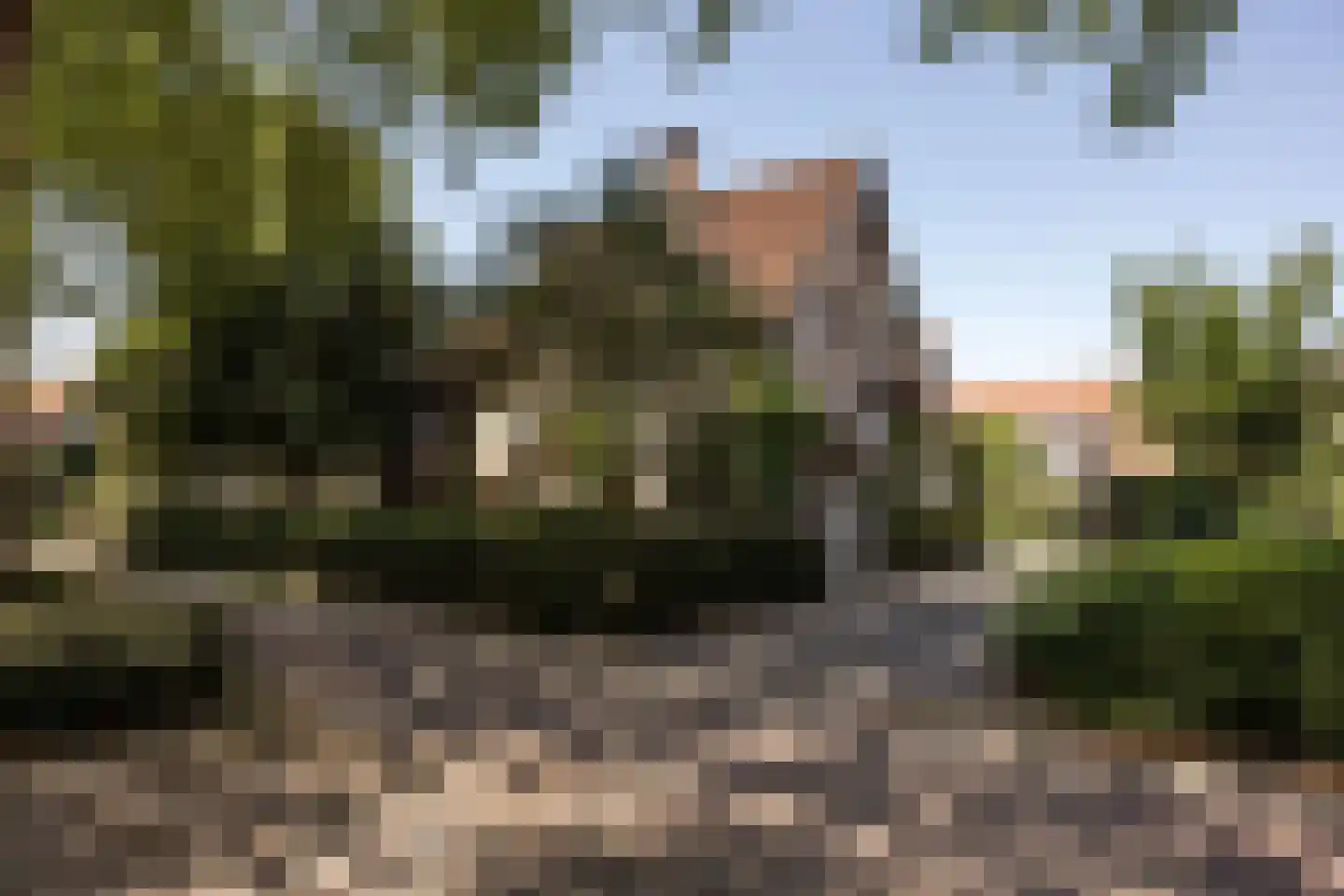 Hornweg 101 Aalsmeer thumbnail 37